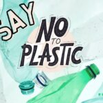 Living Plastic Free: Practical Tips to Help You Make the Transition